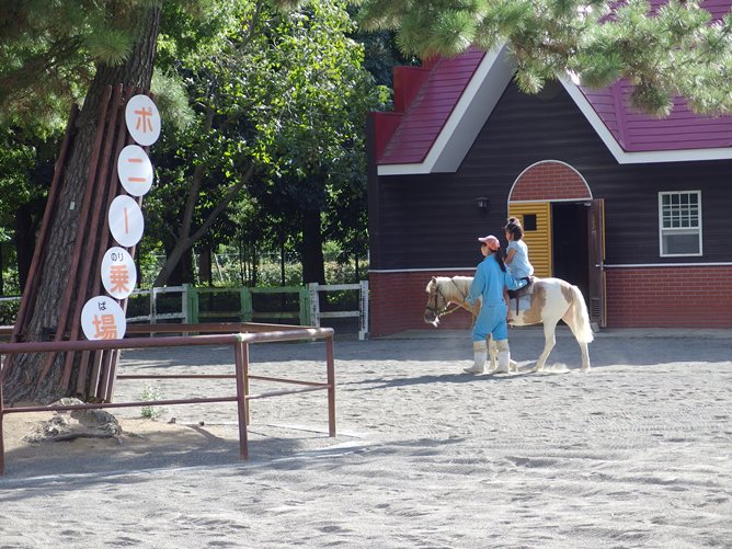 平塚市総合公園はプールに水遊び、動物園や滑り台など1日中遊べる最高の遊び場